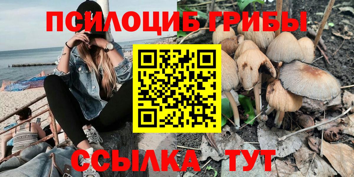Йошкар-Ола  Галлюциногенные грибы прущие грибы  Вход с VPN  купить наркотик  Галлюциногенные грибы Psilocybe 